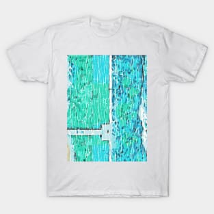 beach from above T-Shirt